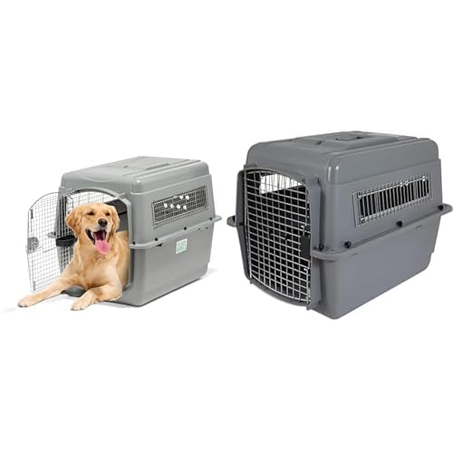 Amazon.com: Petmate Sky Kennel Bundle - Airline Approved Dog